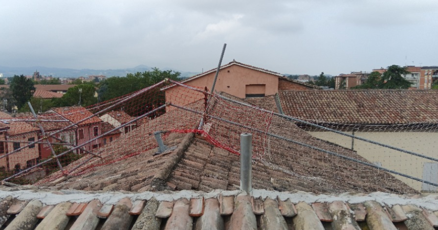 Immagine di Lavori post-alluvione tetti