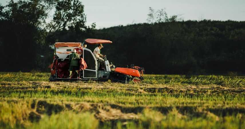 Immagine di Agribusiness