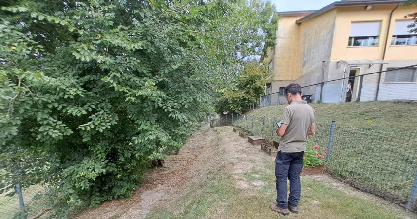 Immagine di Scuola Saiano